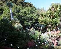 Jardin Botanico IMG_0988